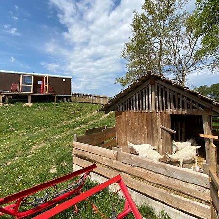 Hotel Maringotka Na Samote Na Kozi Farme à Pobezovice Extérieur photo