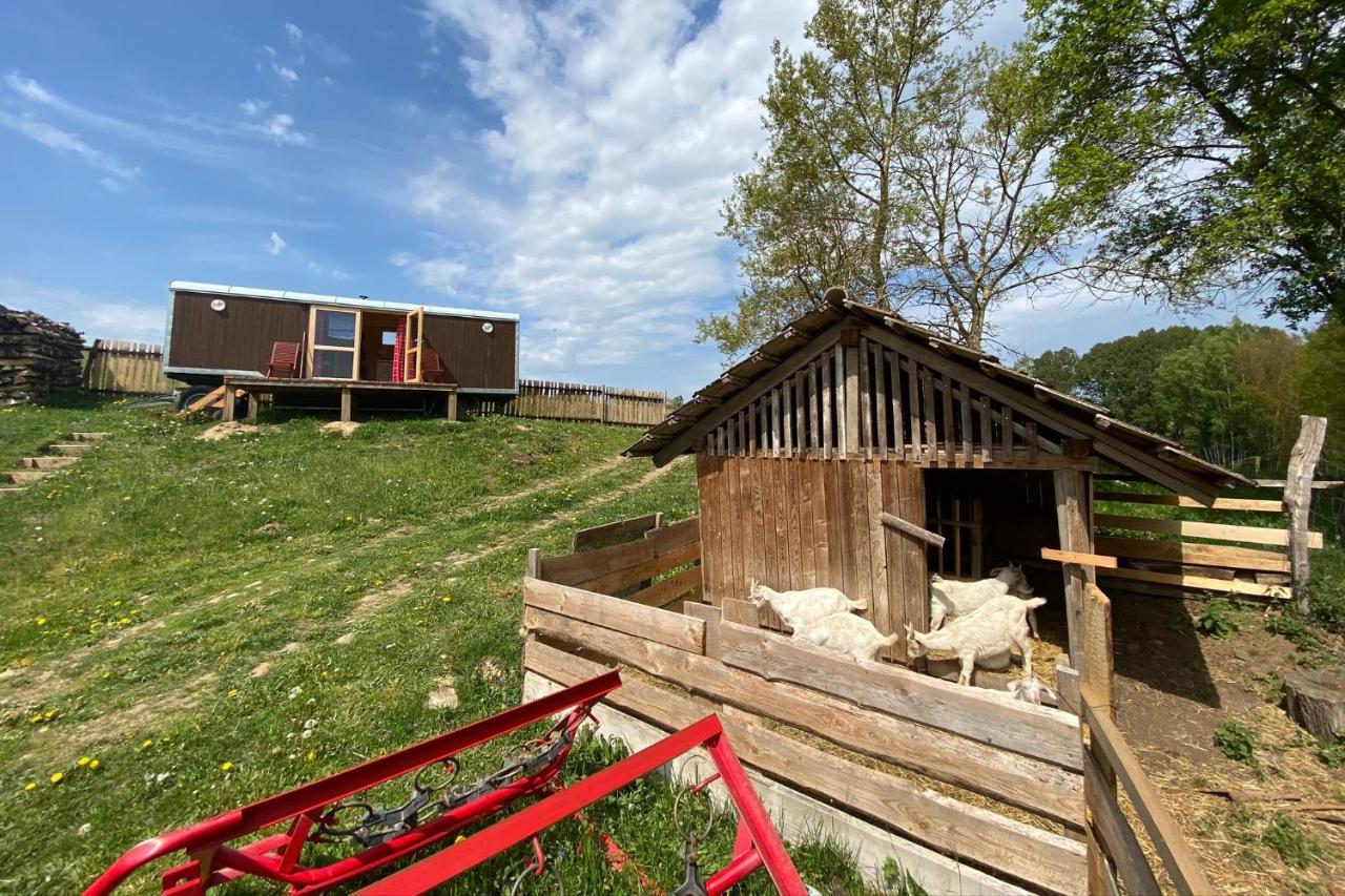 Hotel Maringotka Na Samote Na Kozi Farme à Pobezovice Extérieur photo